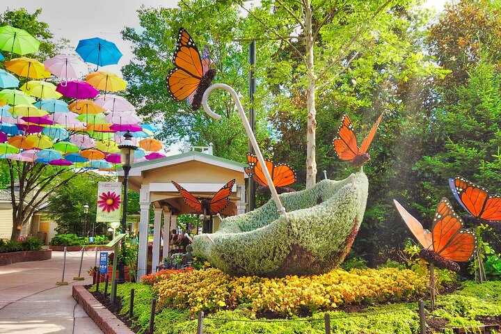 Experience Image img1