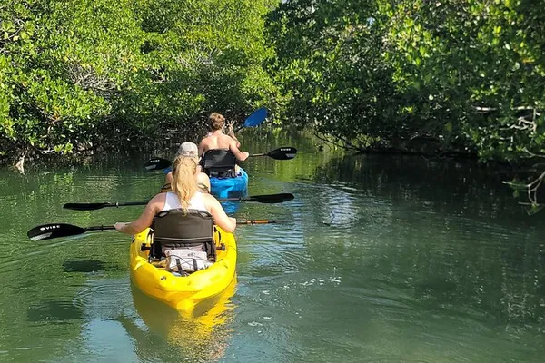 Florida Keys Kayak Tour: Mangrove Tunnels & Wildlife!