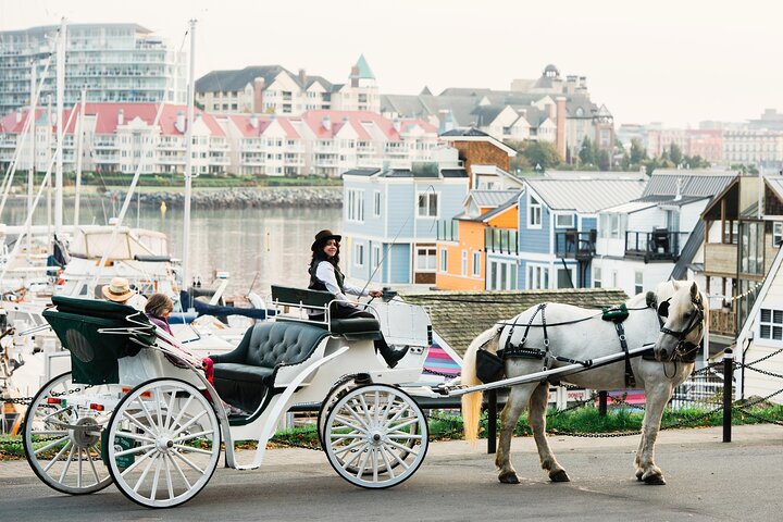 Beacon Hill Park Carriage Tour: Victoria's Scenic Ride