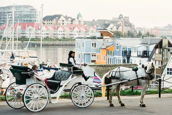 Beacon Hill Park Carriage Tour: Victoria's Scenic Ride