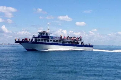 Unforgettable Dolphin Encounter: Myrtle Beach Cruise Adventure