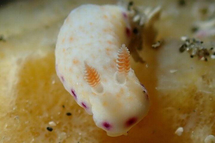 Experience Image img4