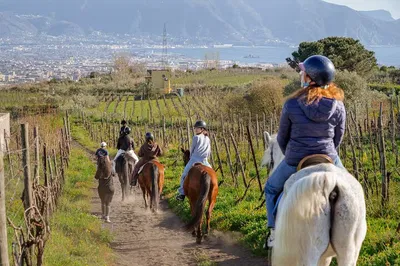 Mount Vesuvius Horseback Adventure: A Ride Through History