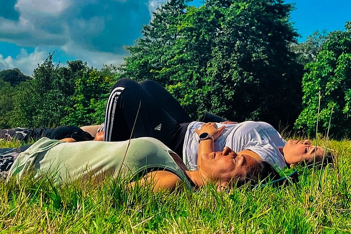 Experience Image img2