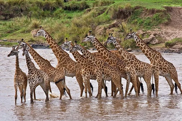 img0