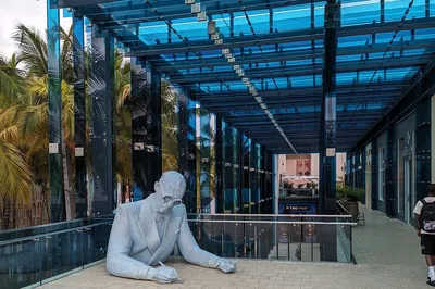 Miami's French Flair: South Beach, Design District & Wynwood 3-Hour Tour