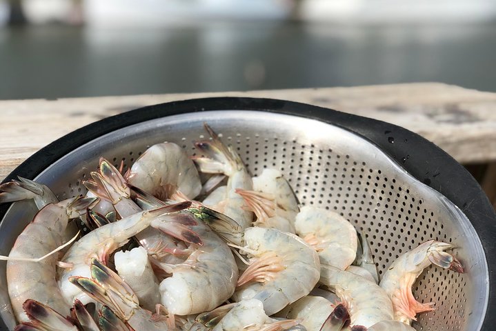 Experience Image img1