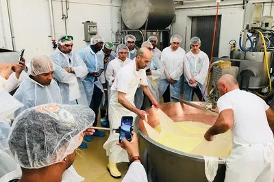 Bologna Food Tour: Factory Visits & Lunch