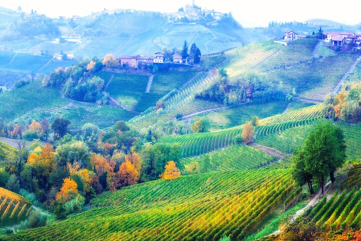 Experience Image img2