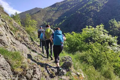 Uncover Catalonia's Natural Wonders: Pyrenees Hiking Adventure from Barcelona