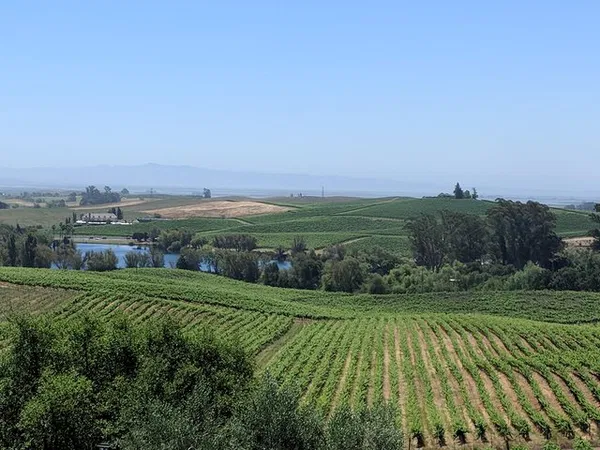 Unforgettable Napa & Sonoma Wine Tour: A Luxurious Escape from San Francisco