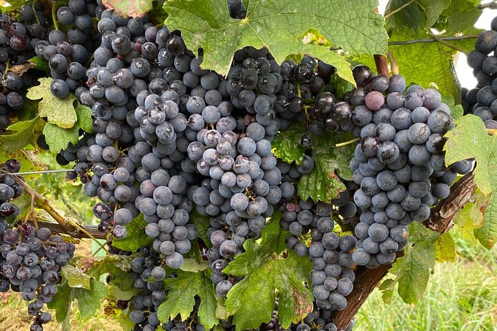 Experience Image img4