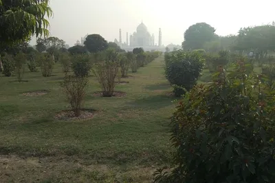 Sunrise Spectacle: A Private Taj Mahal Journey from Delhi