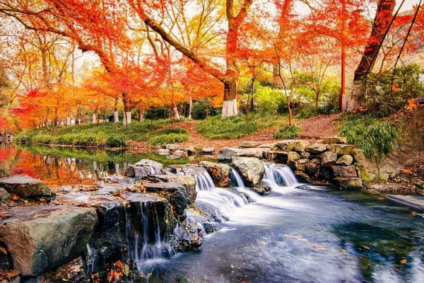 Hangzhou's Serene Escape: Nine Creeks Hike & Tea Plantation Bliss