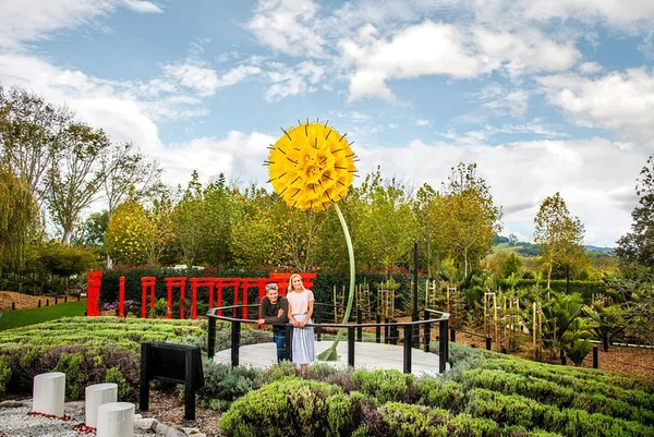 Matakana Art & Wine: Private Village Tour & Tastings