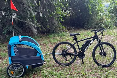 Kissimmee E-Bike Lakefront Family Adventure: Pedal-Free Fun!