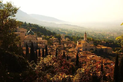 Unveiling Italy's Gems: Orvieto & Assisi Full-Day Cultural Immersion