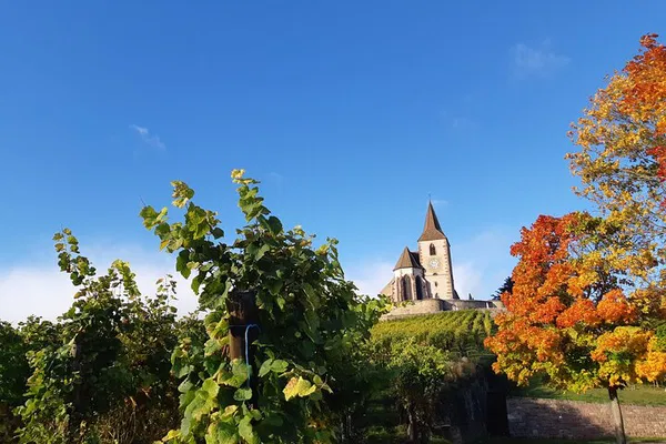 Alsatian Wine Route: A Charming Afternoon of Villages & Tastings