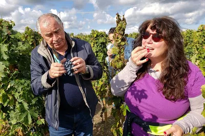 Unveiling Abruzzo: A Roman Culinary Escape with Wine Tasting