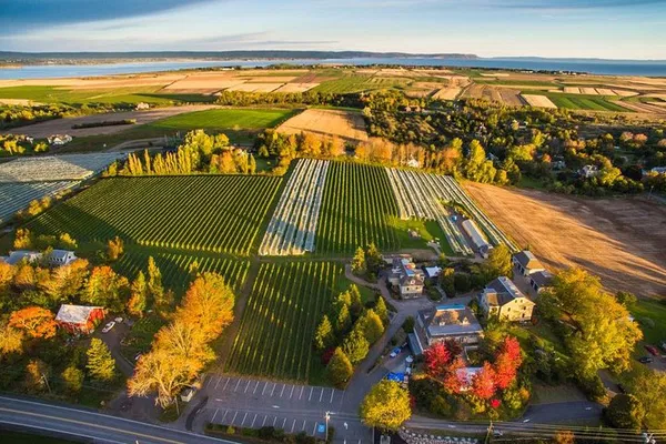 Uncork Nova Scotia: A Luxurious Valley Wine Tour Experience
