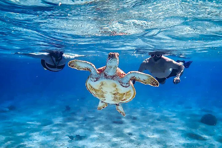 img0