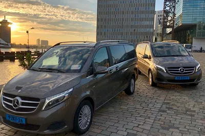 Luxury Private Transfer: Schiphol to The Hague/Delft