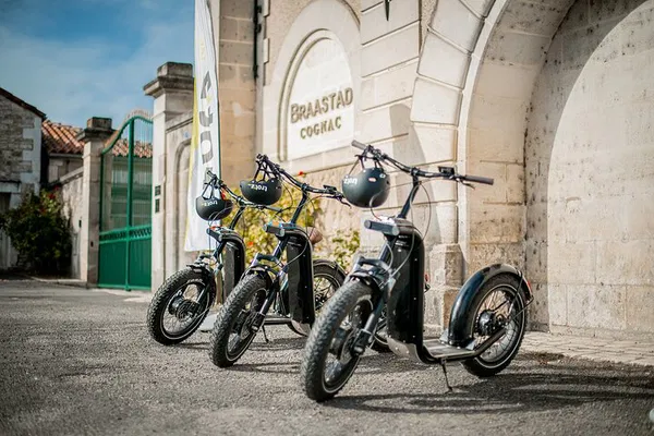 Cognac E-Scooter River Route: 1-Hour Vineyard Adventure!