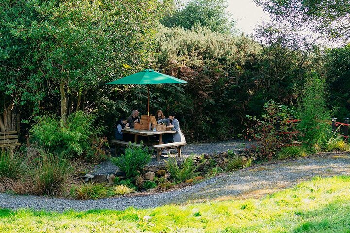 Experience Image img2