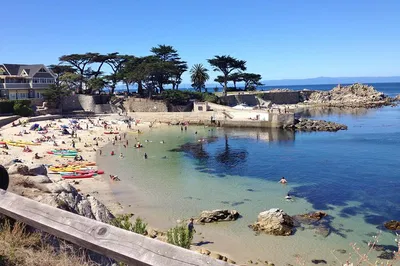 Monterey & Carmel Luxury Private Tour from San Francisco