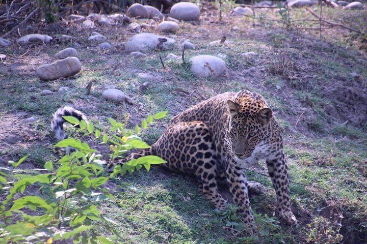 Experience Image img3