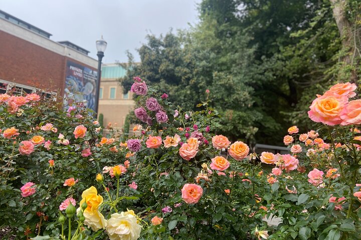 Experience Image img4