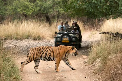 Unveiling India's Treasures: 8-Day Golden Triangle, Tigers & Udaipur Wonders
