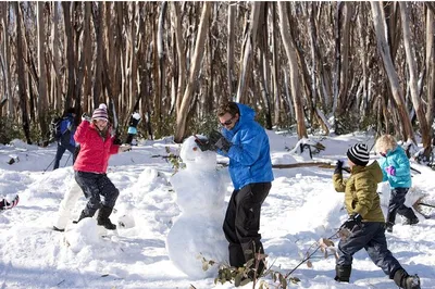 Yarra Valley Winter Escape: Private Snow Tour & Cozy Cottage Retreat