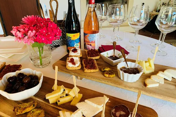 Yoga & Wine: Revitalize Body & Soul in Messina's Vineyards