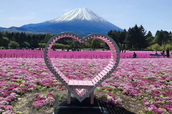 Mt. Fuji Private Tour: See Top Spots with English Driver