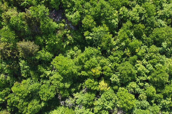 Experience Image img4