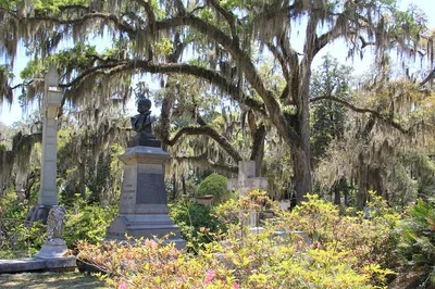 Unveiling Savannah's Secrets: A 'Midnight in the Garden' Literary Adventure