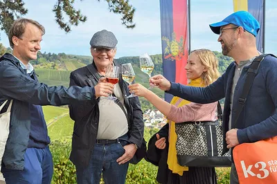 Stuttgart Wine Hike: Vineyards, Views & Vino!