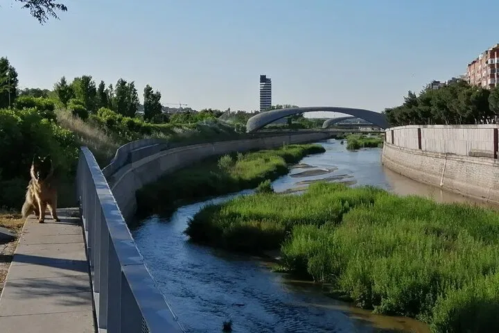 img0