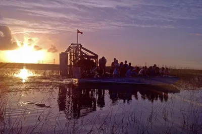 Thrill Under the Stars: Everglades Night Airboat Adventure!