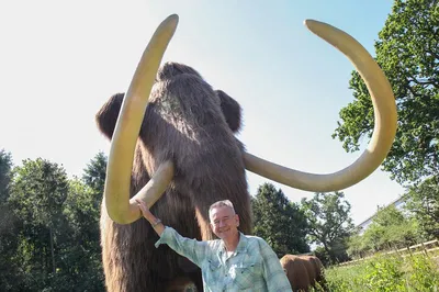 Hoo Zoo & Dinosaur World Entry: Telford Animal Adventure!