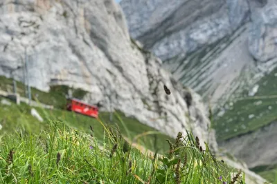 Unforgettable Swiss Adventure: Private Tour to Mt. Pilatus & Lake Lucerne Cruise from Basel