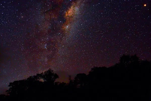 Kudremukh: Rainforest Camping & Western Ghats Sunrise