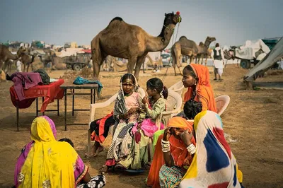Spiritual Journey: Jaipur to Pushkar Day Trip with Lakeside Serenity