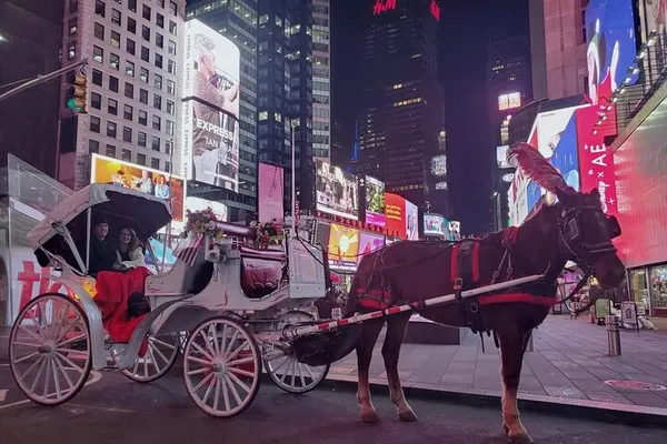 NYC Horse Carriage Tour: Central Park & Top Sights!