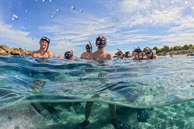 Blue Heron Bridge Snorkel: Dive into West Palm Beach's Underwater Paradise
