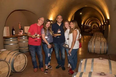 Unforgettable Wine Country Escape: Private Tour from San Francisco