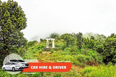 Explore Da Nang: Private Car to Bach Ma National Park & Beyond!
