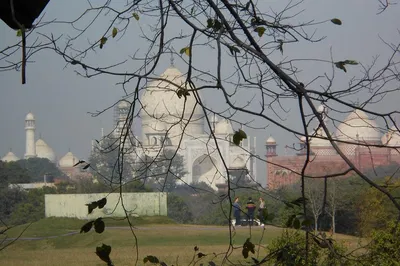 Taj Mahal Nature Walk: Escape the Crowds, Embrace the Views
