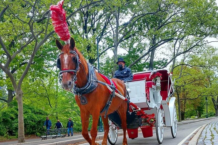 Central Park Horse Carriage Ride: A Timeless NYC Experience